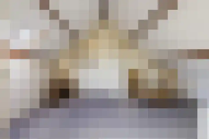 Van Hogendorplaan 5 Woudenberg thumbnail 32