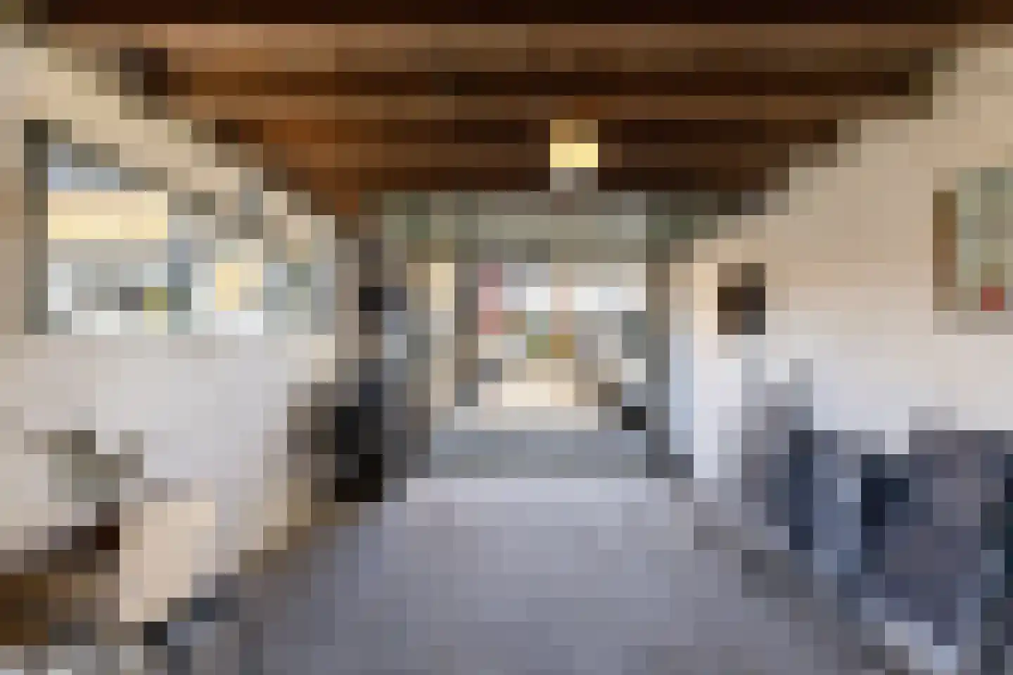 Van Hogendorplaan 5 Woudenberg thumbnail 34