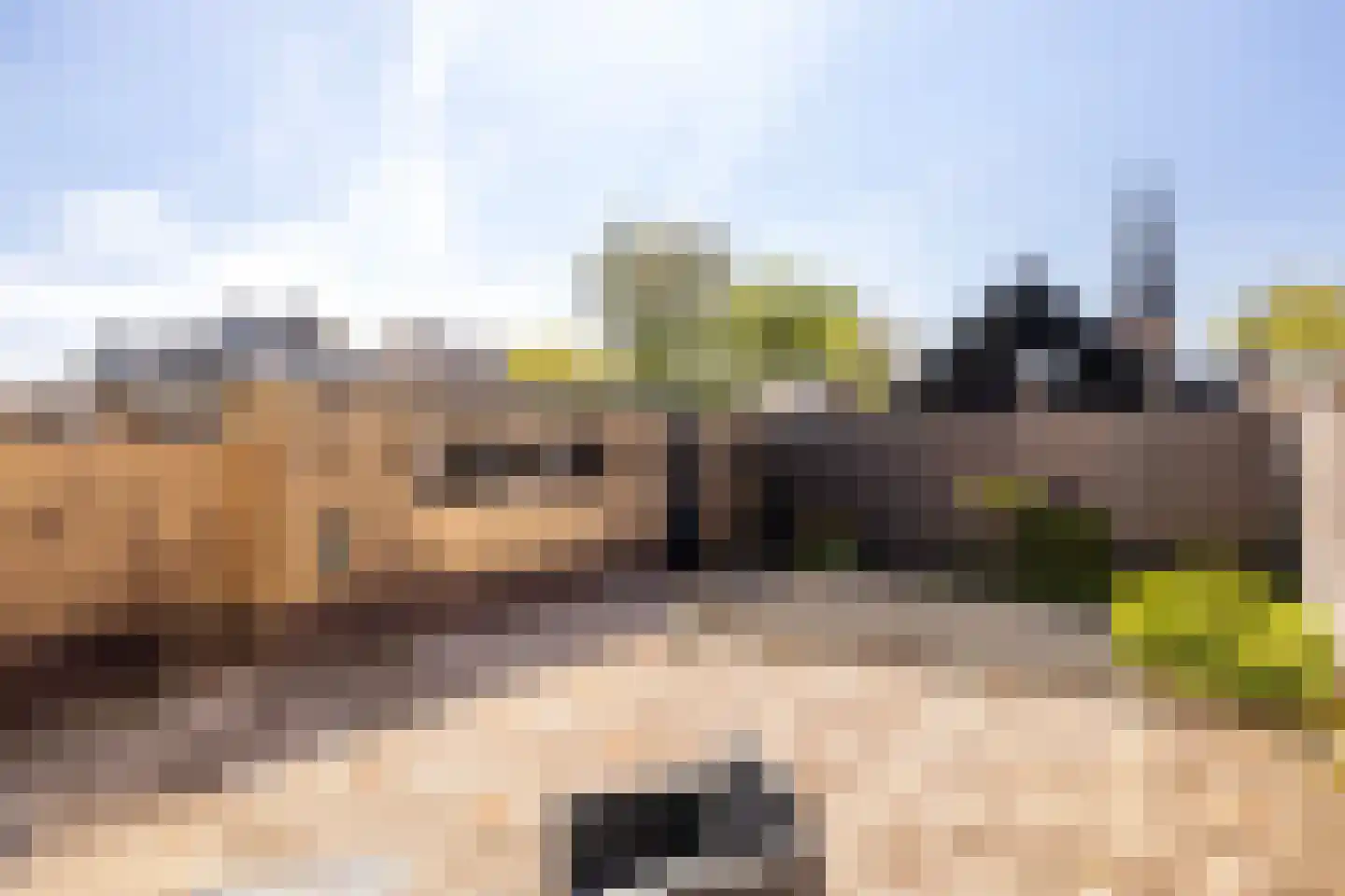 Van Hogendorplaan 5 Woudenberg thumbnail 36