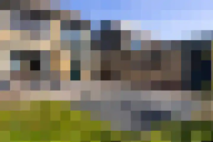 Van Hogendorplaan 5 Woudenberg thumbnail 37