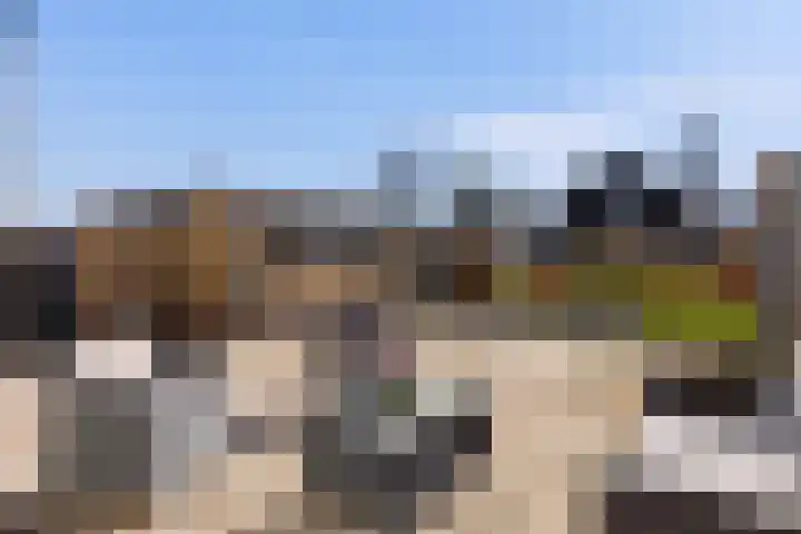 Van Hogendorplaan 5 Woudenberg thumbnail 38