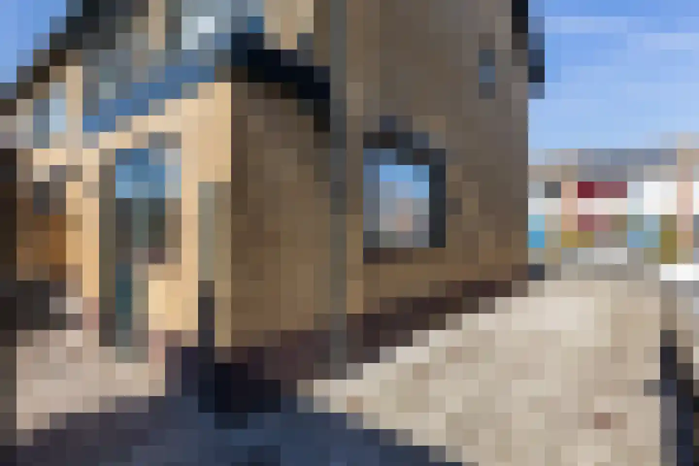 Van Hogendorplaan 5 Woudenberg thumbnail 39