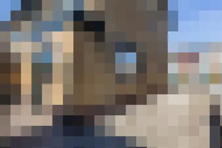 Van Hogendorplaan 5 Woudenberg thumbnail 41