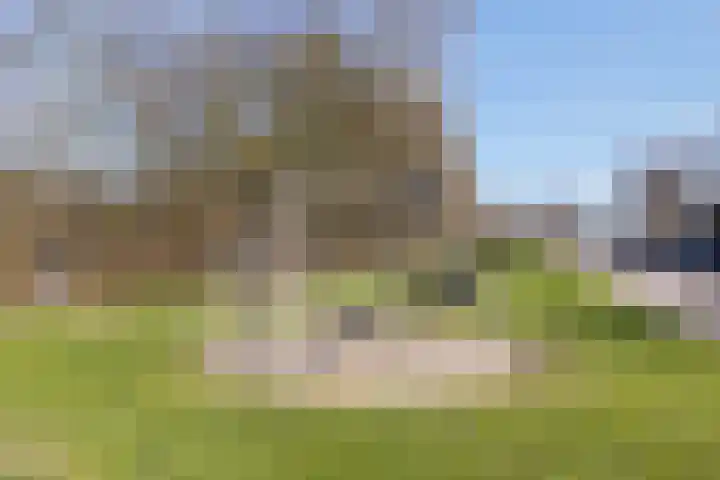 Van Hogendorplaan 5 Woudenberg thumbnail 43
