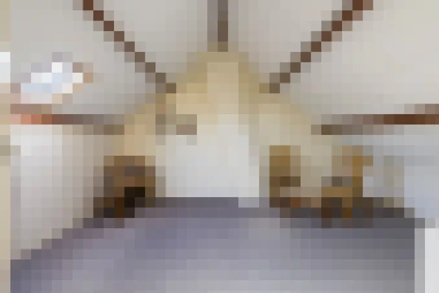 Van Hogendorplaan 5 Woudenberg thumbnail 5