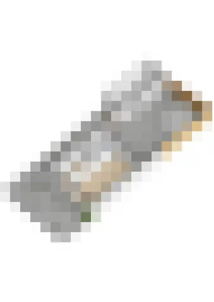 Van Hogendorplaan 5 Woudenberg thumbnail 51