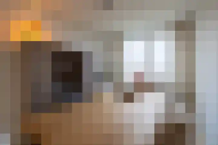 van Hogendorplaan 50 C Doetinchem thumbnail 11