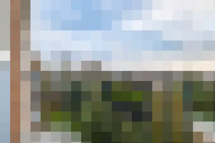 van Hogendorplaan 50 C Doetinchem thumbnail 22