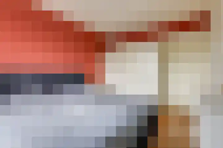van Hogendorplaan 50 C Doetinchem thumbnail 35
