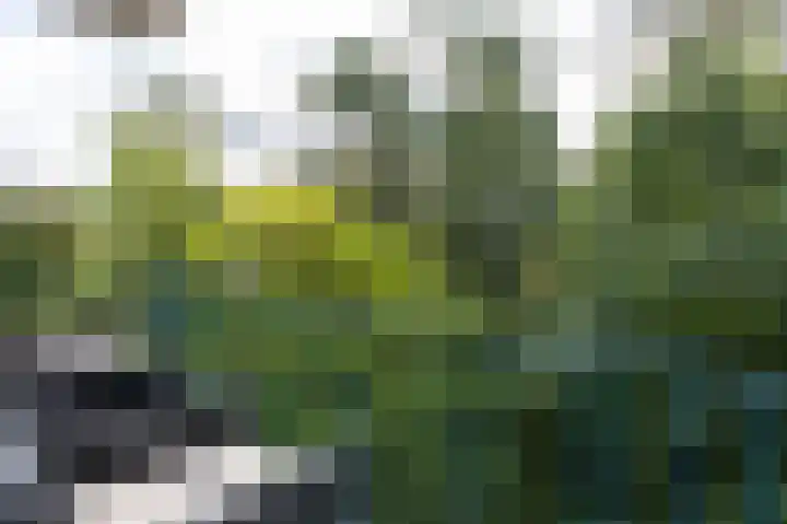 van Hogendorplaan 50 C Doetinchem thumbnail 4
