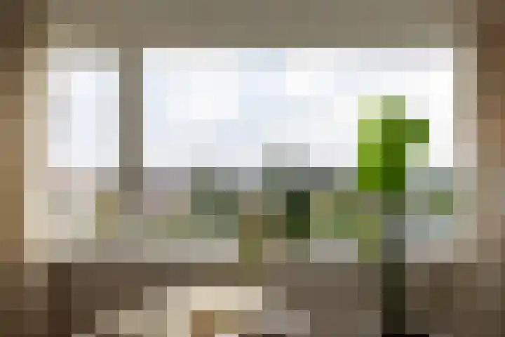van Hogendorplaan 50 C Doetinchem thumbnail 4