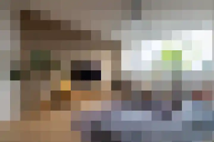 van Hogendorplaan 50 C Doetinchem thumbnail 5