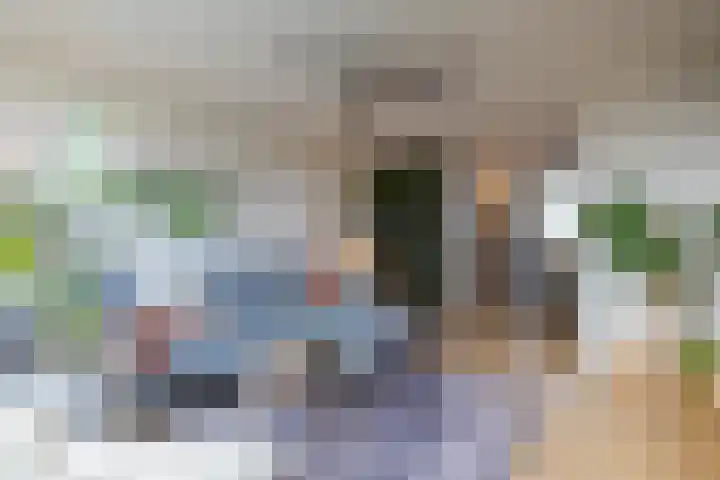 van Hogendorplaan 50 C Doetinchem thumbnail 6