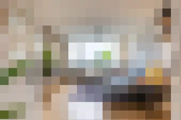 van Hogendorplaan 50 C Doetinchem thumbnail 8