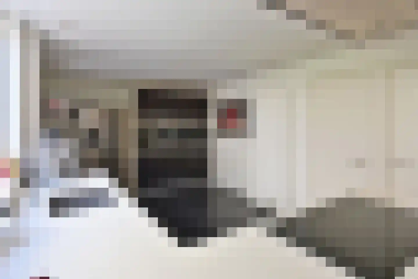 Van Hogendorplaan 52 Huizen thumbnail 12