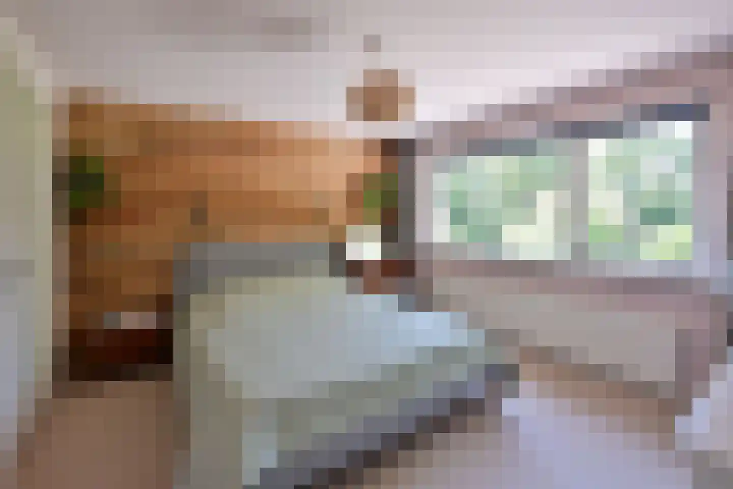 Van Hogendorplaan 52 Huizen thumbnail 16