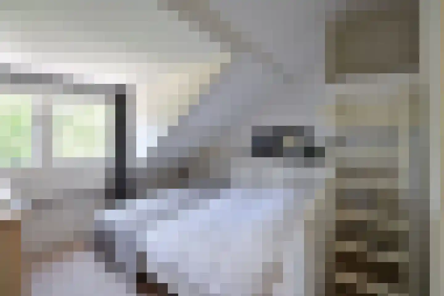 Van Hogendorplaan 52 Huizen thumbnail 18