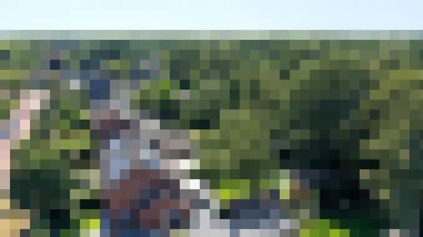 Van Hogendorplaan 52 Huizen thumbnail 33