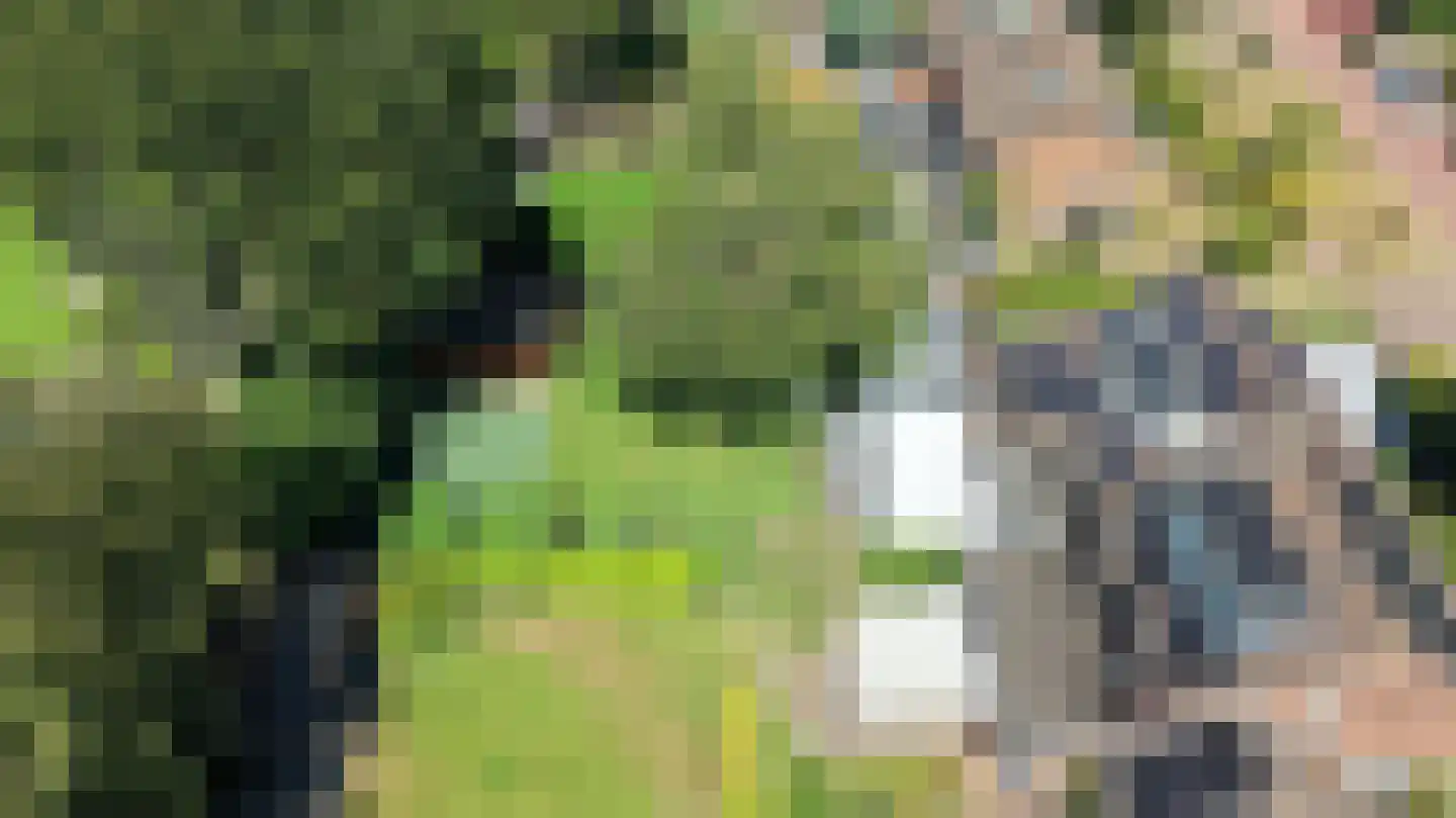 Van Hogendorplaan 52 Huizen thumbnail 34
