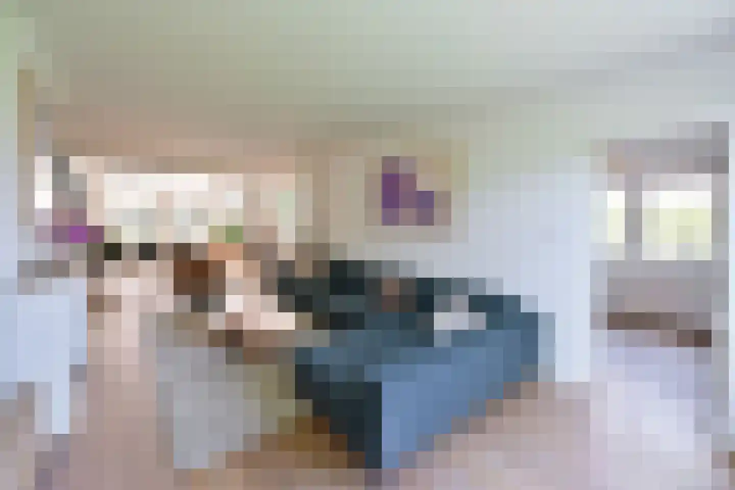 Van Hogendorplaan 52 Huizen thumbnail 6