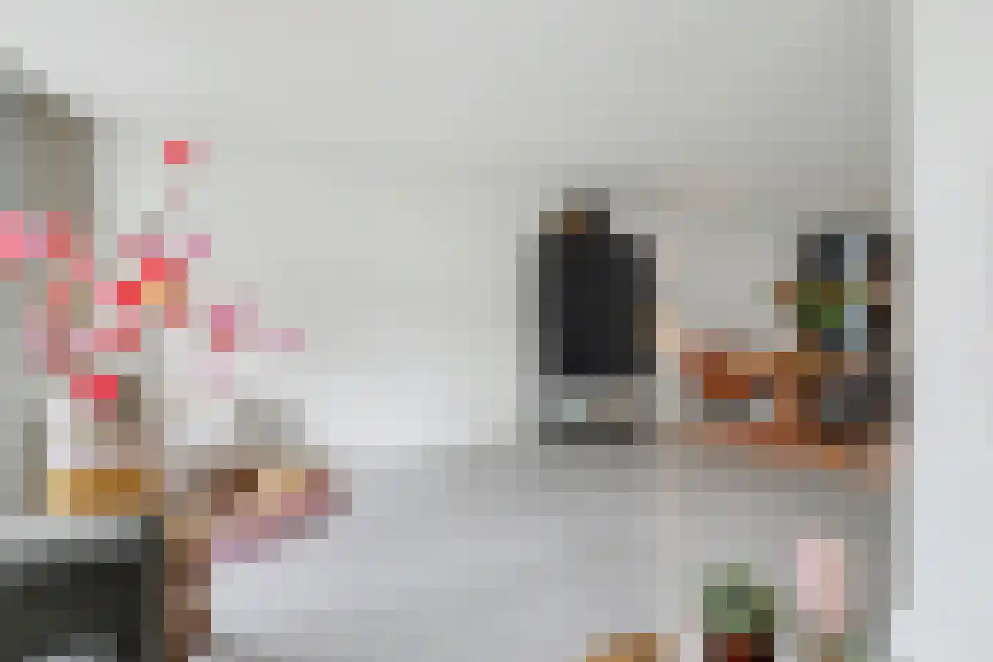 Van Hogendorplaan 6 Vlijmen thumbnail 13