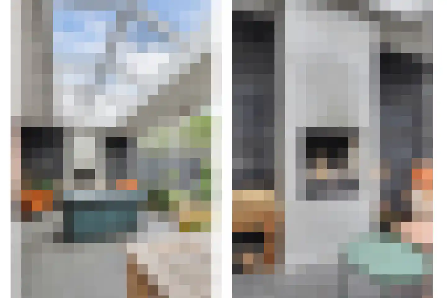 Van Hogendorplaan 6 Vlijmen thumbnail 17