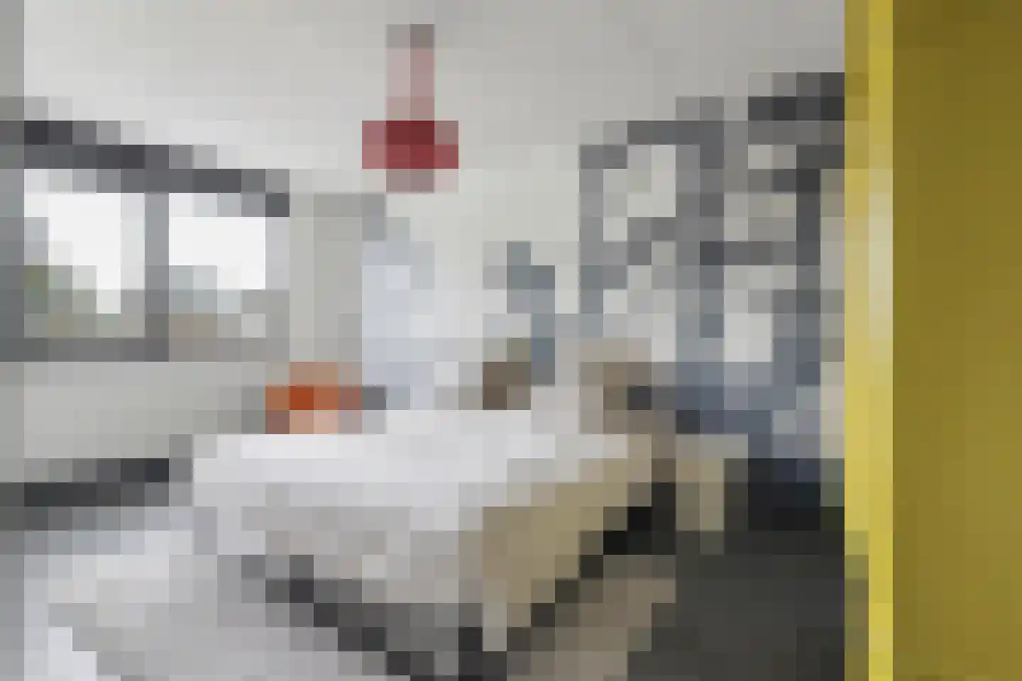 Van Hogendorplaan 6 Vlijmen thumbnail 21