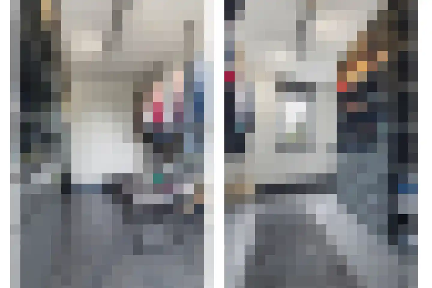 Van Hogendorplaan 6 Vlijmen thumbnail 24