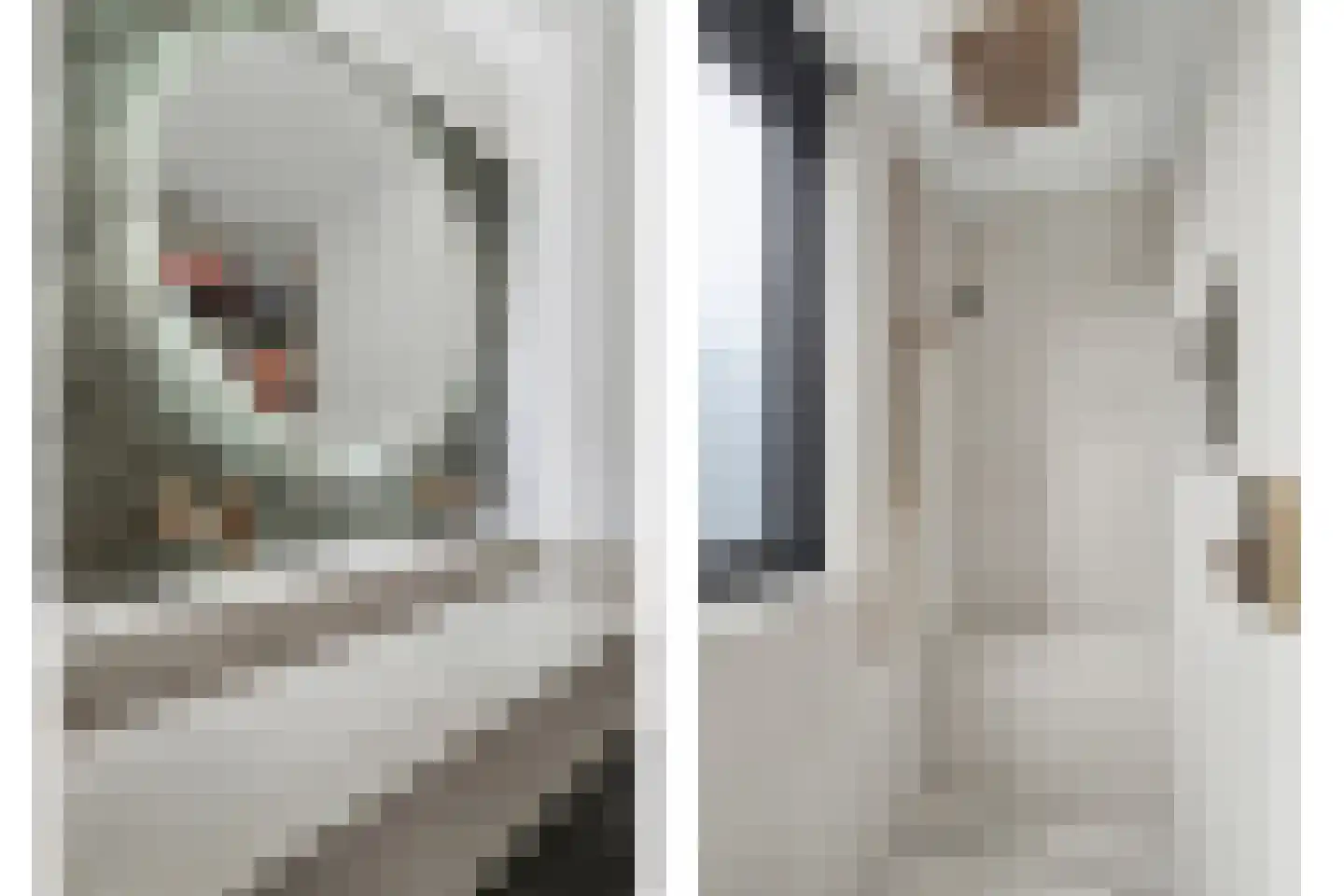 Van Hogendorplaan 6 Vlijmen thumbnail 26