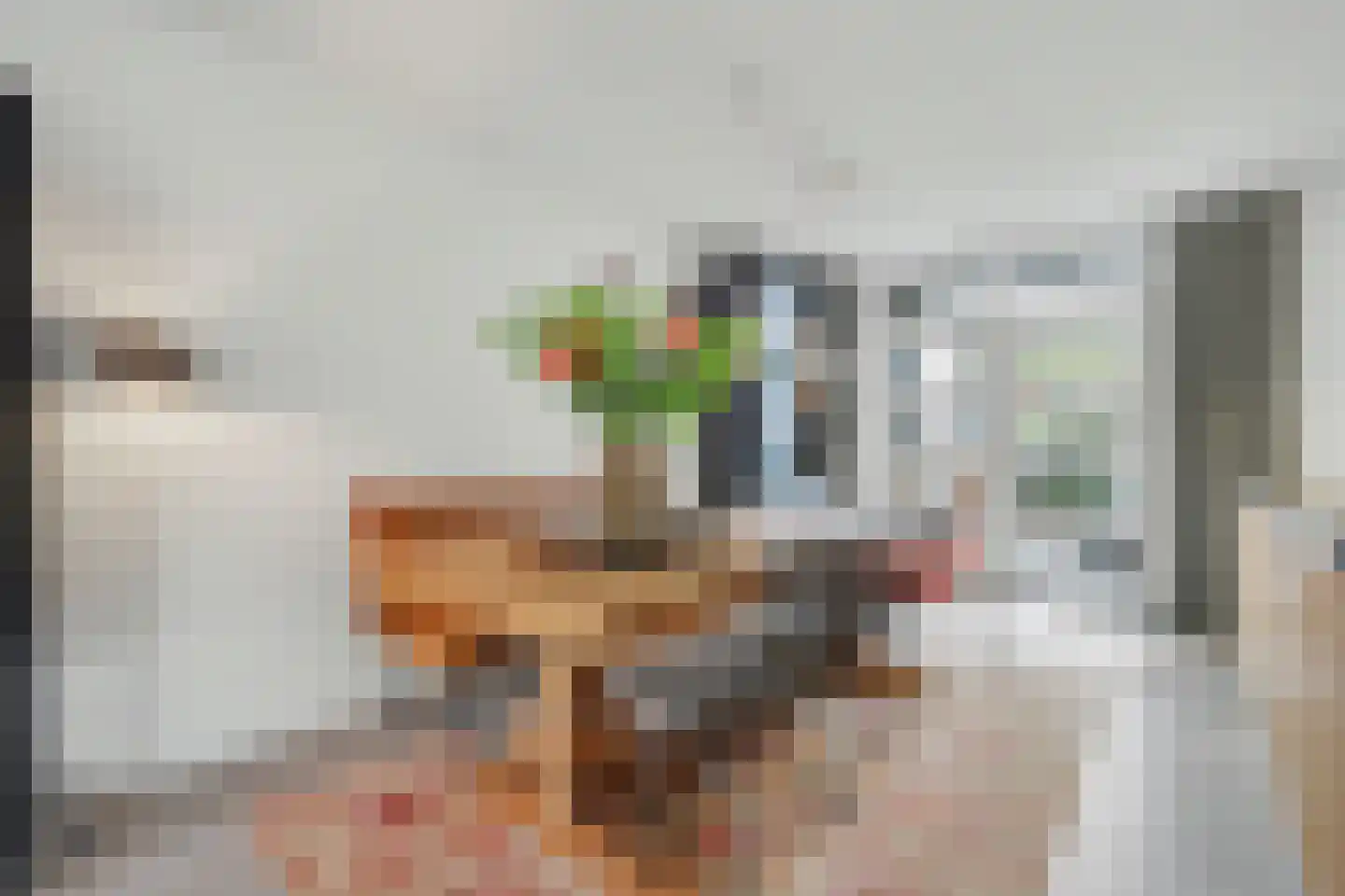 Van Hogendorplaan 6 Vlijmen foto 3