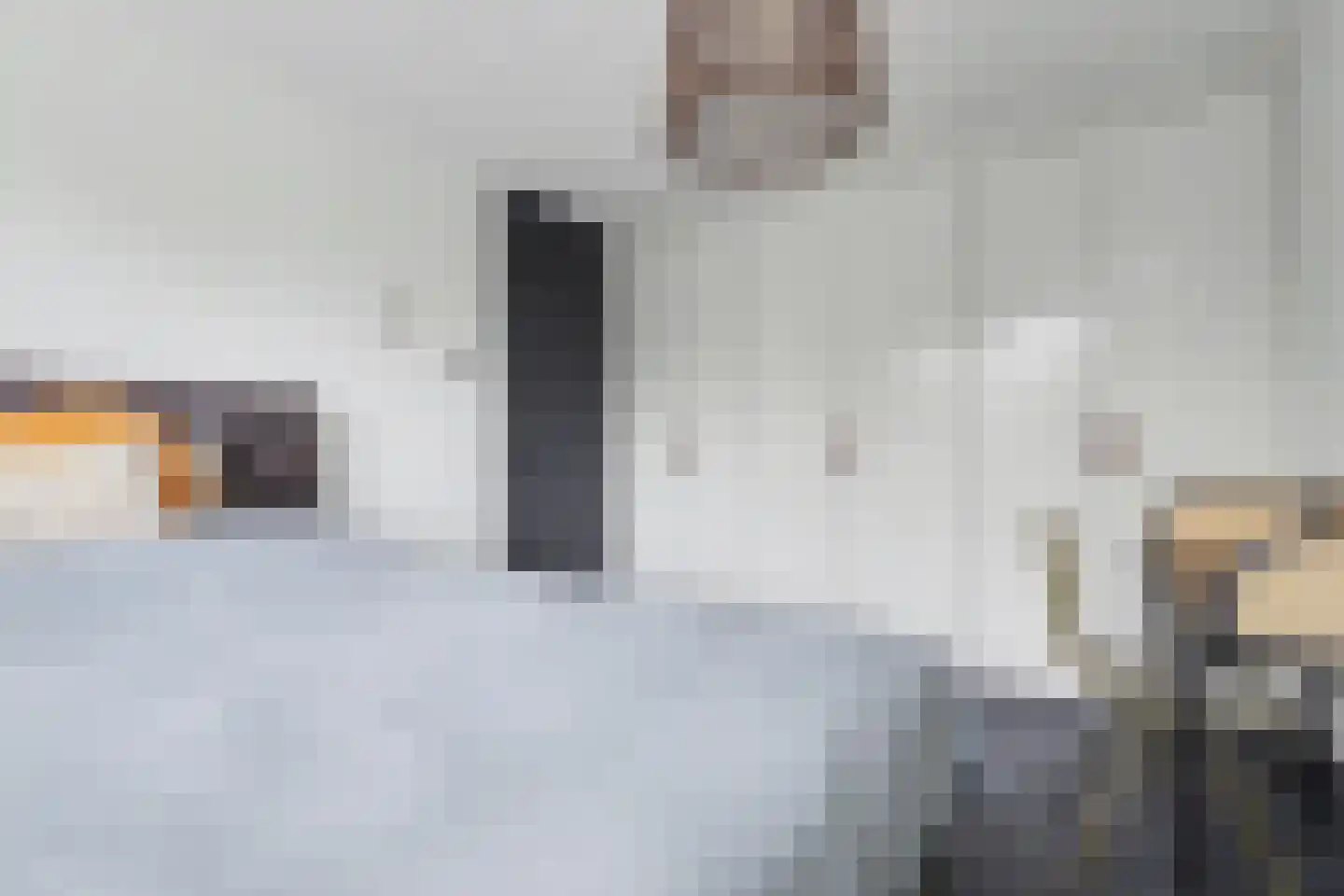 Van Hogendorplaan 6 Vlijmen thumbnail 30