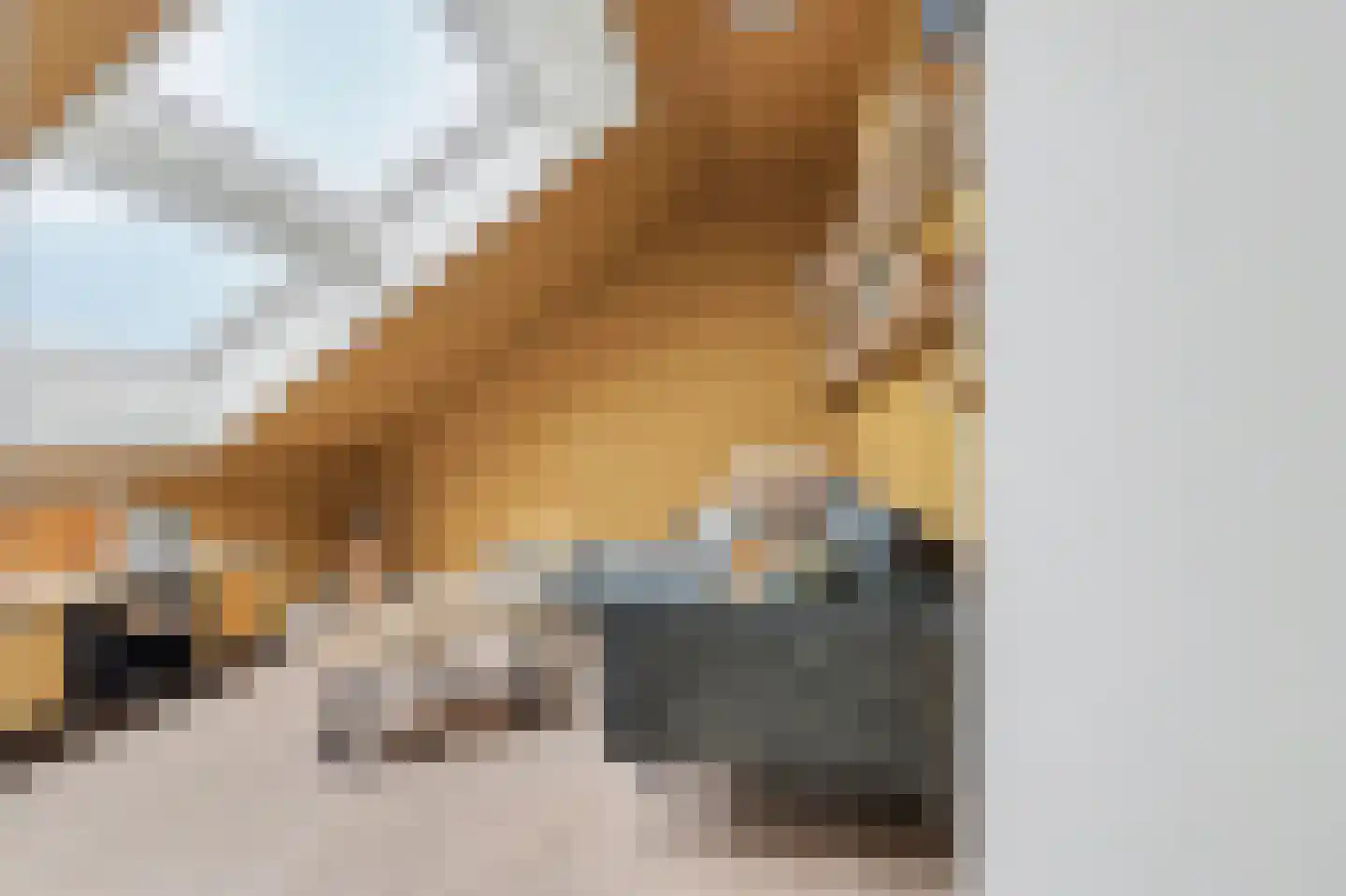 Van Hogendorplaan 6 Vlijmen thumbnail 33