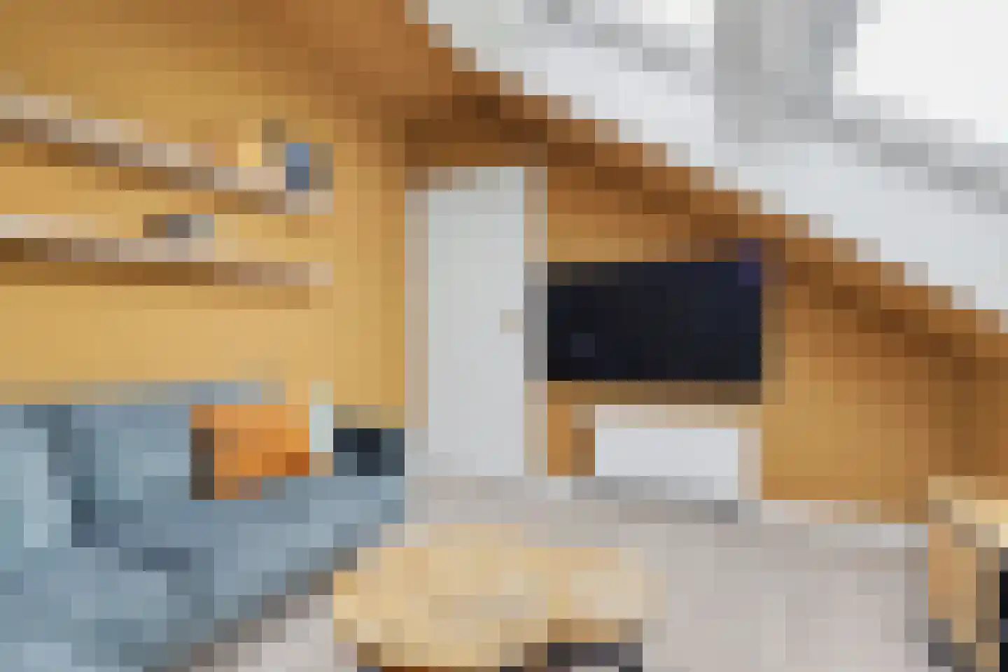 Van Hogendorplaan 6 Vlijmen thumbnail 34