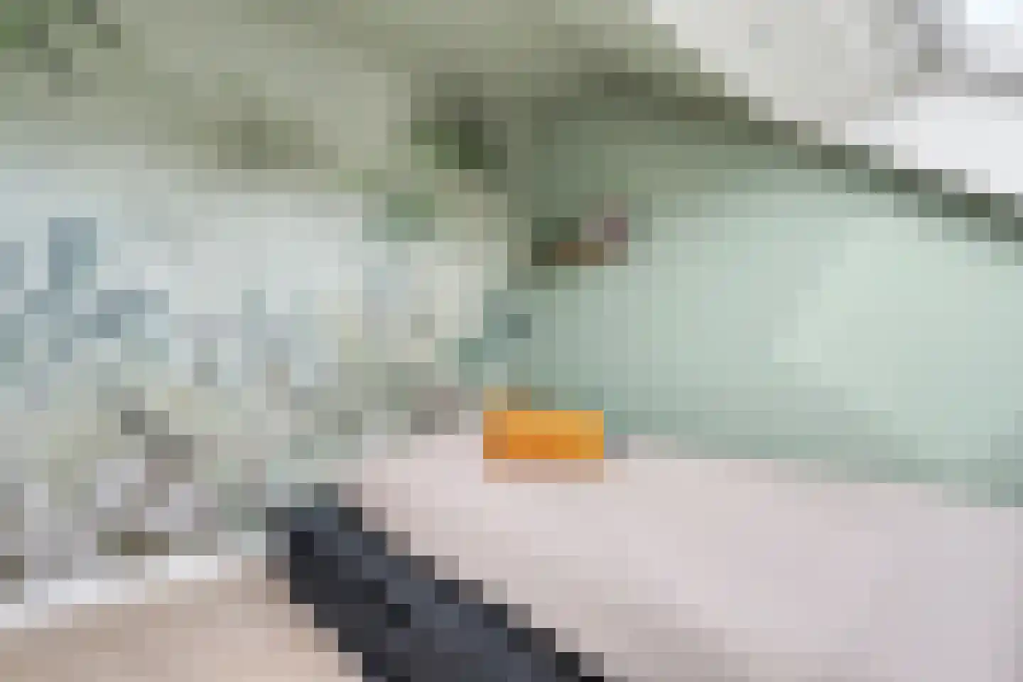 Van Hogendorplaan 6 Vlijmen thumbnail 36