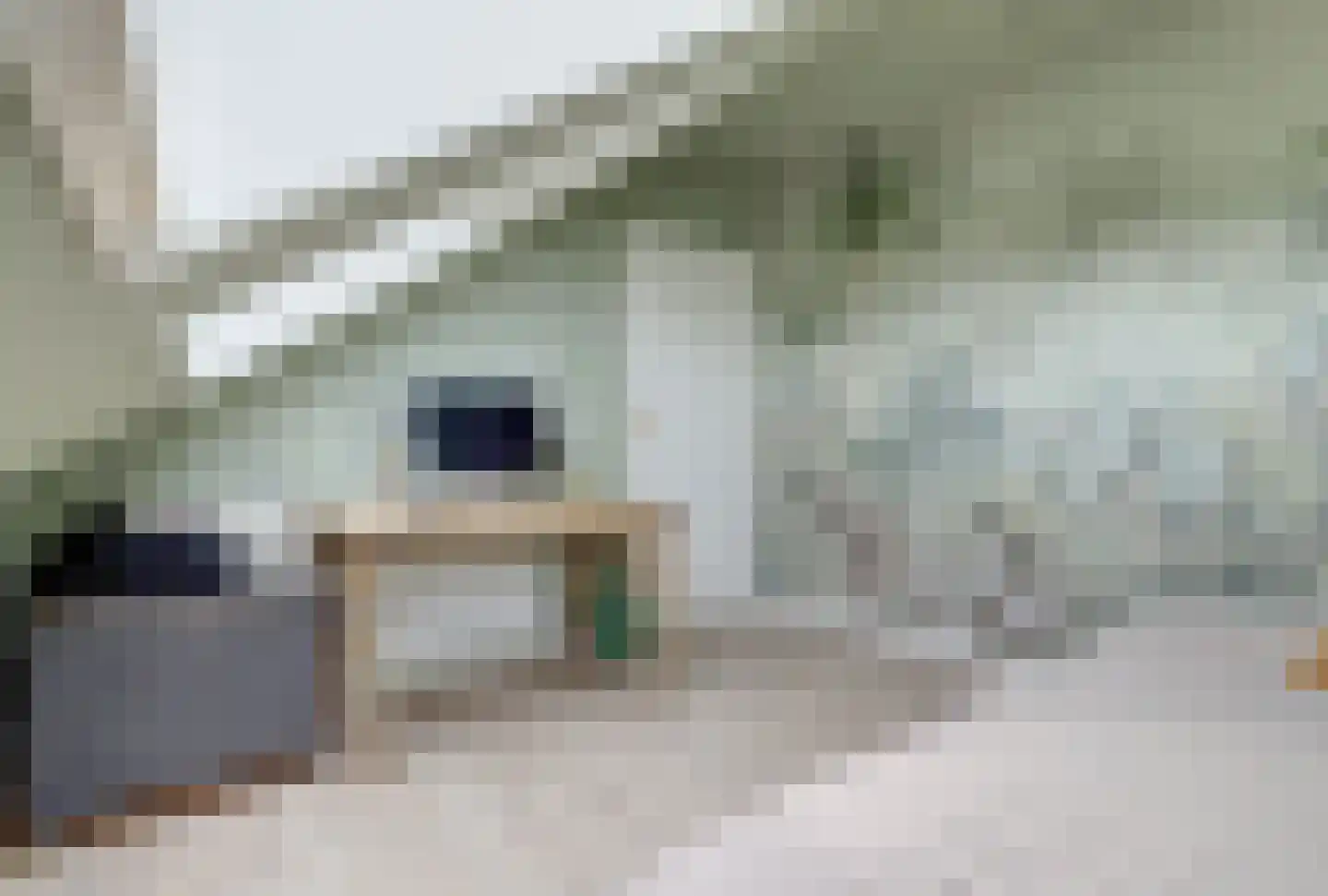 Van Hogendorplaan 6 Vlijmen thumbnail 37