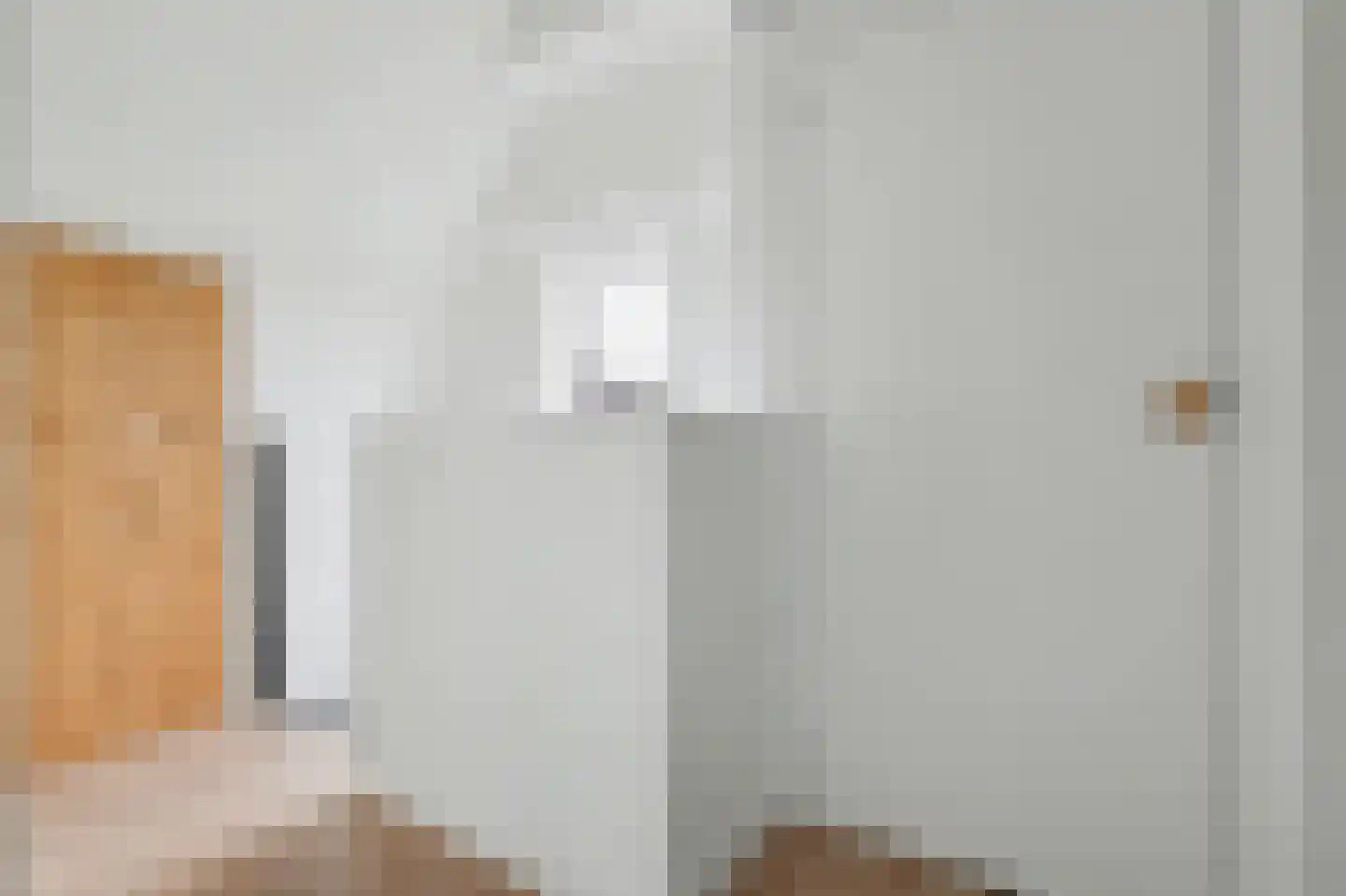 Van Hogendorplaan 6 Vlijmen thumbnail 38