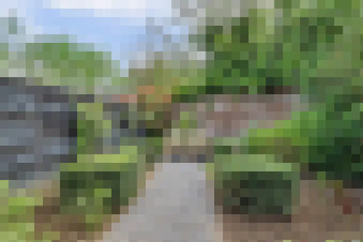 Van Hogendorplaan 6 Vlijmen thumbnail 40