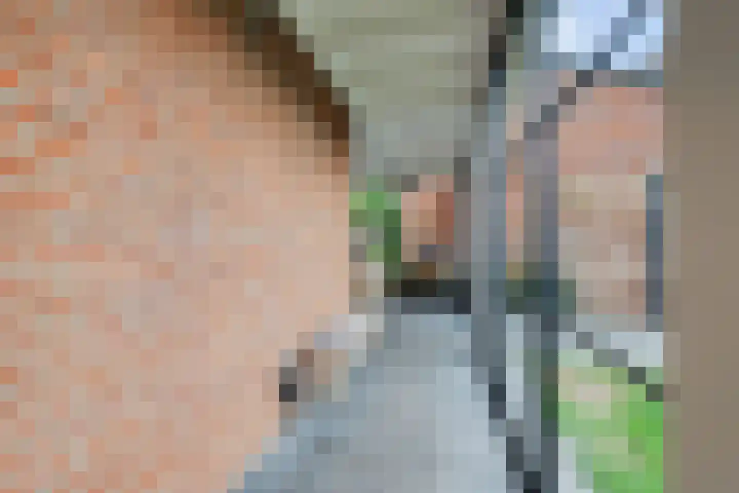 Van Hogendorplaan 6 Vlijmen thumbnail 42