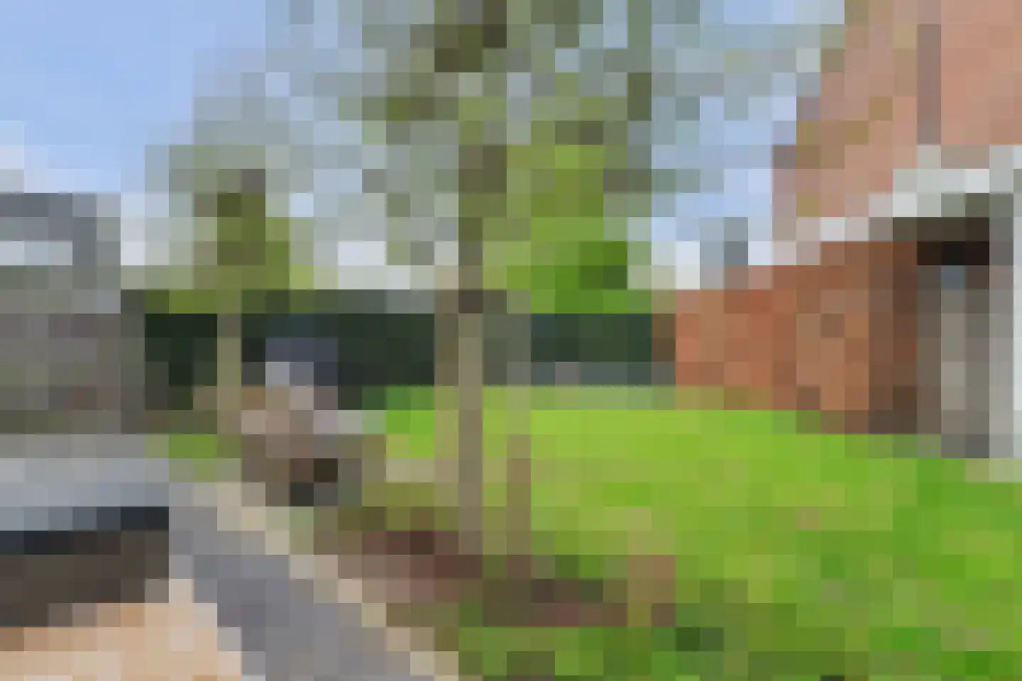 Van Hogendorplaan 6 Vlijmen thumbnail 45