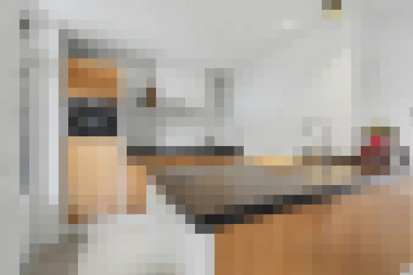 Van Hogendorplaan 6 Vlijmen thumbnail 5