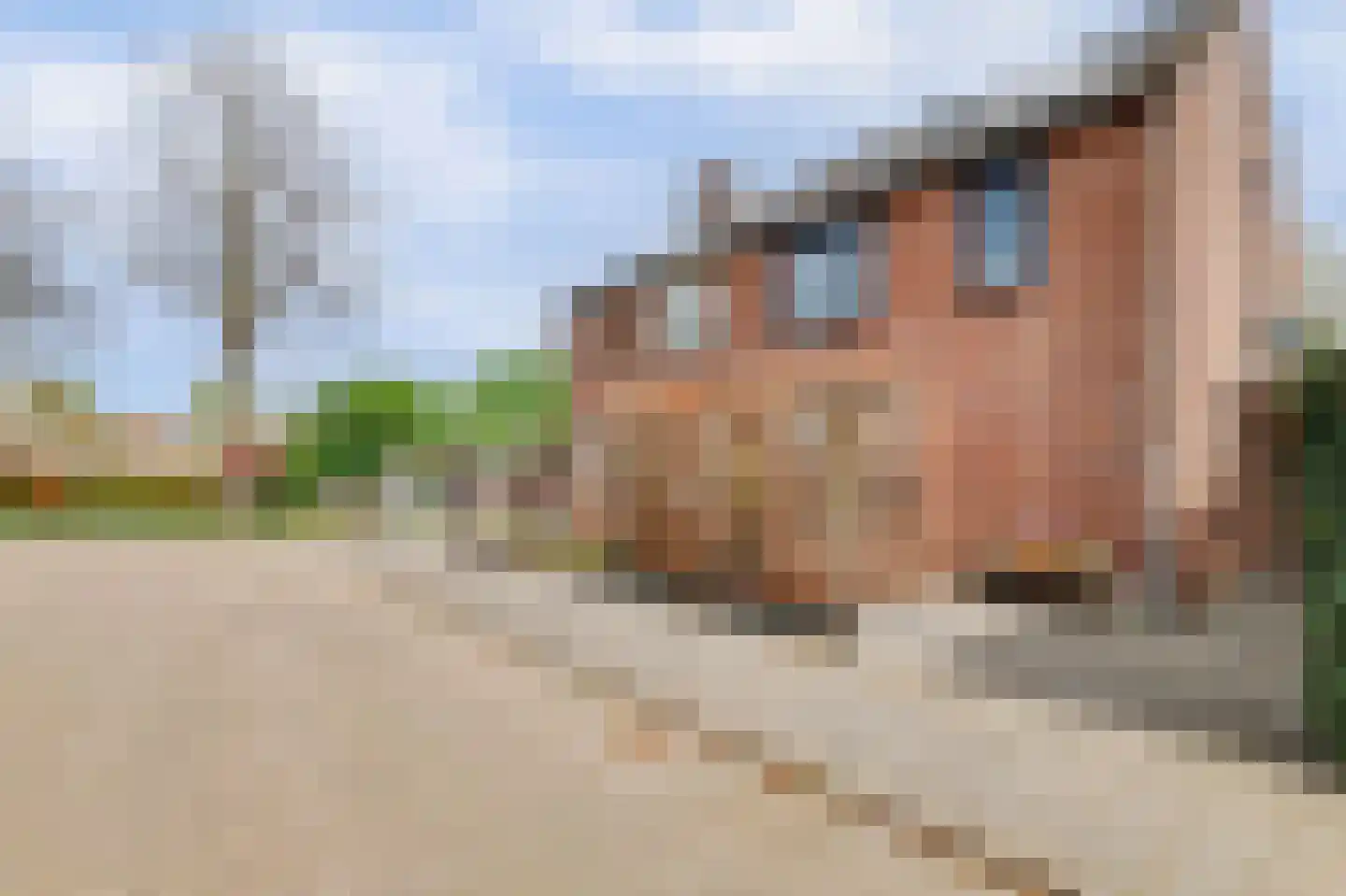 Van Hogendorplaan 6 Vlijmen thumbnail 52