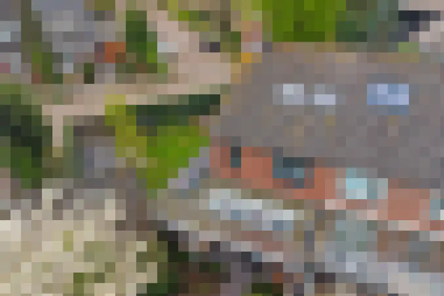 Van Hogendorplaan 6 Vlijmen thumbnail 55