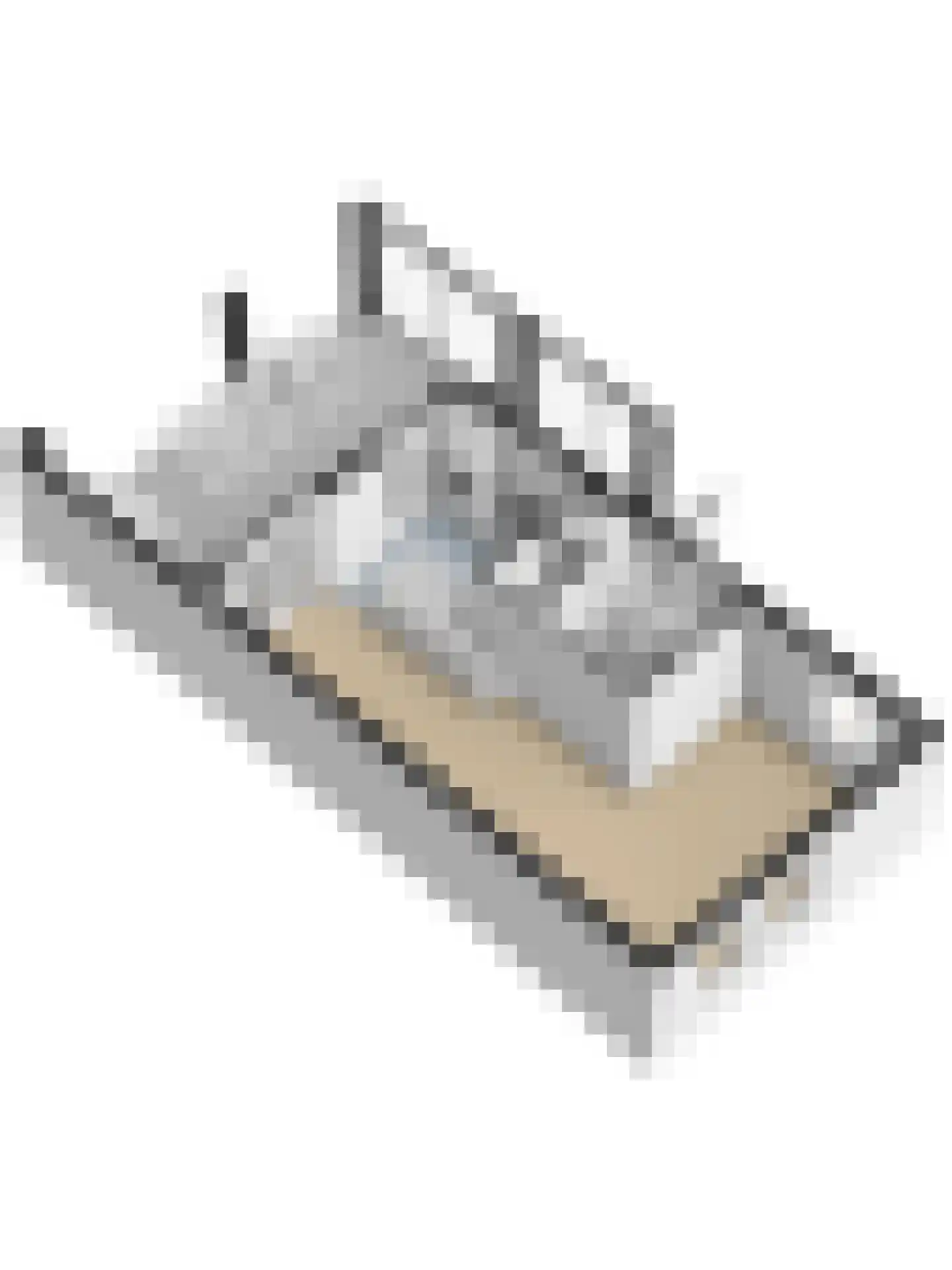 Van Hogendorplaan 6 Vlijmen thumbnail 58