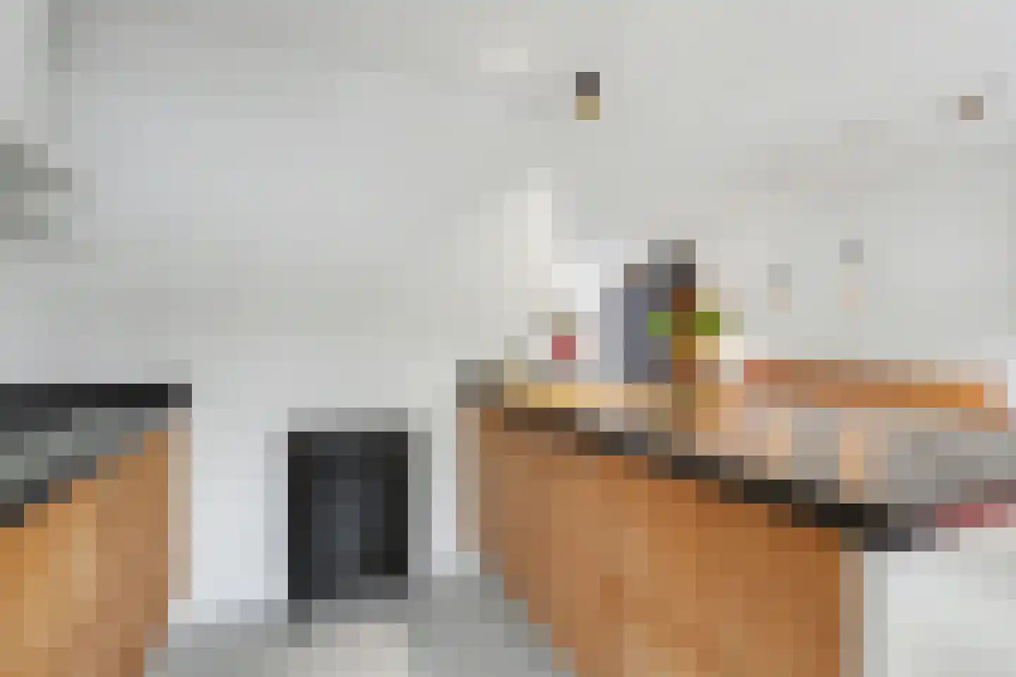 Van Hogendorplaan 6 Vlijmen thumbnail 6
