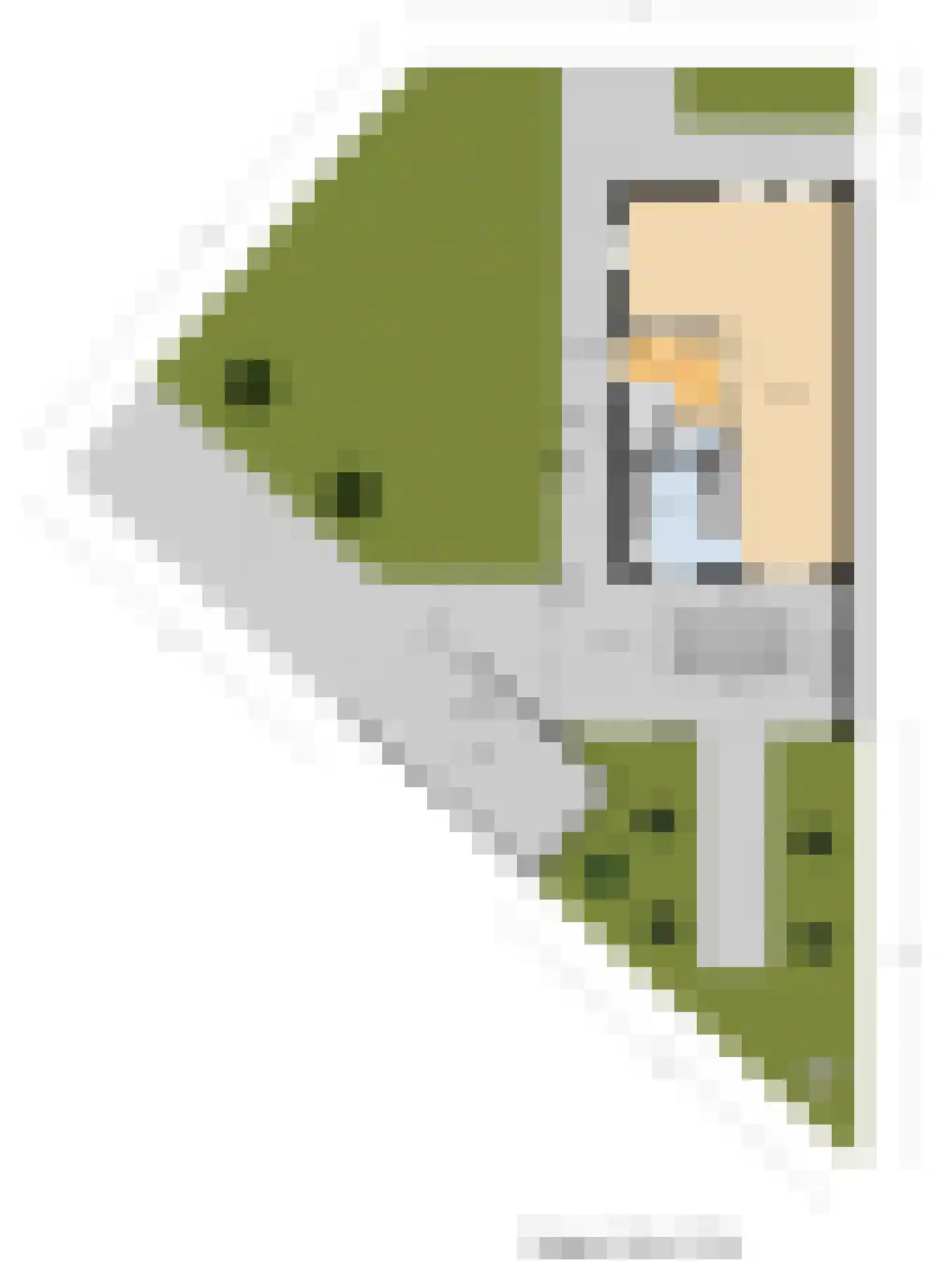 Van Hogendorplaan 6 Vlijmen thumbnail 67