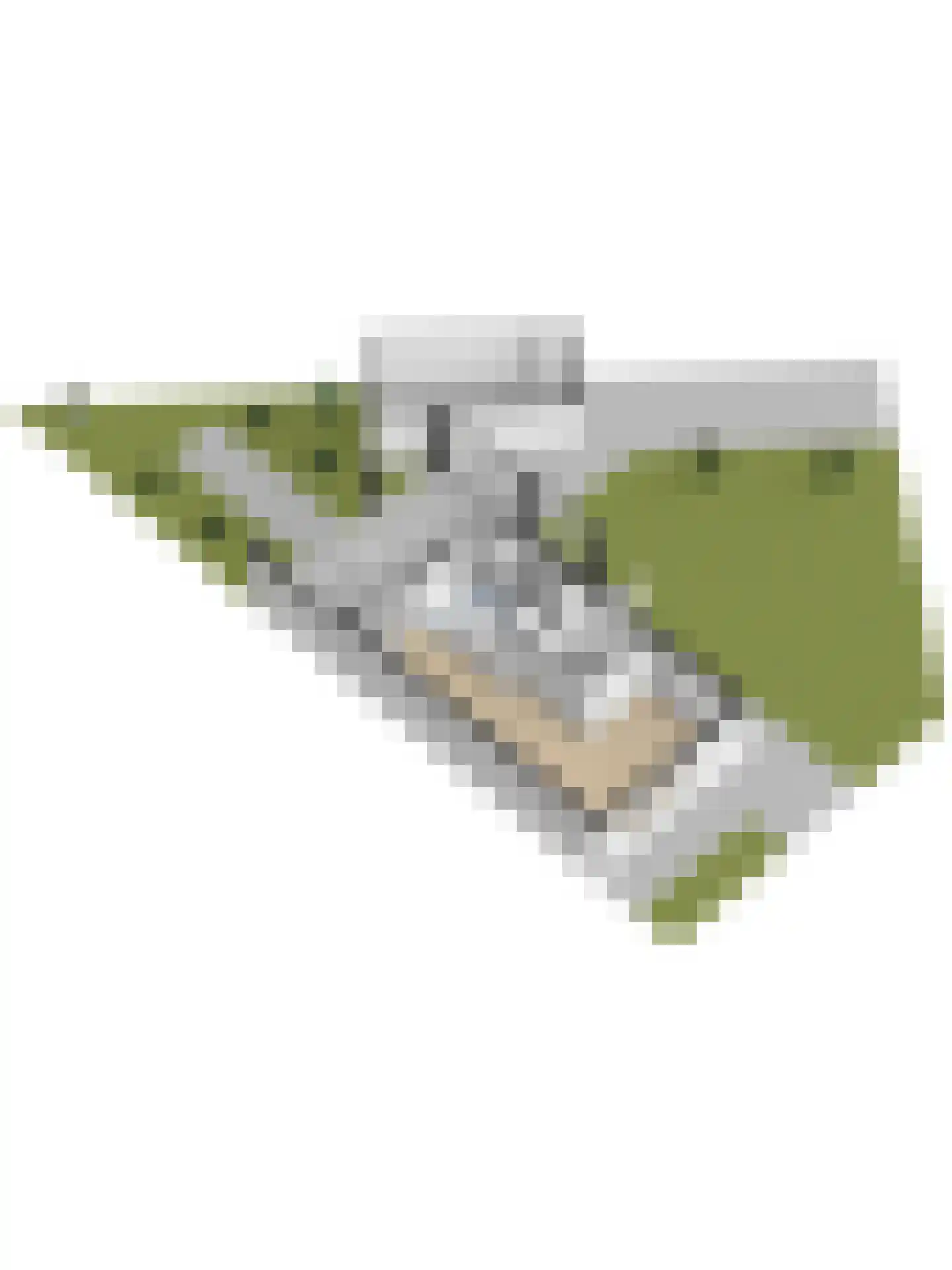 Van Hogendorplaan 6 Vlijmen thumbnail 68