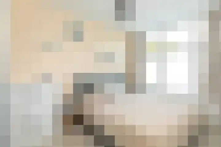 Van Hogendorplaan 64 Hilversum thumbnail 13