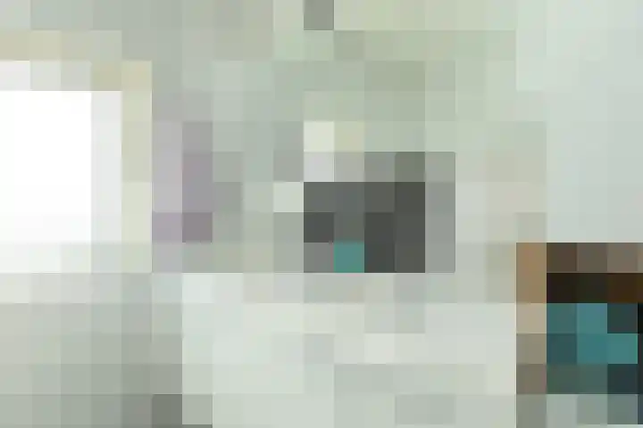 Van Hogendorplaan 64 Hilversum thumbnail 20