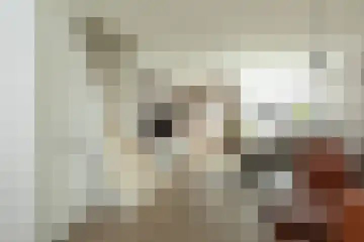 Van Hogendorplaan 64 Hilversum thumbnail 5