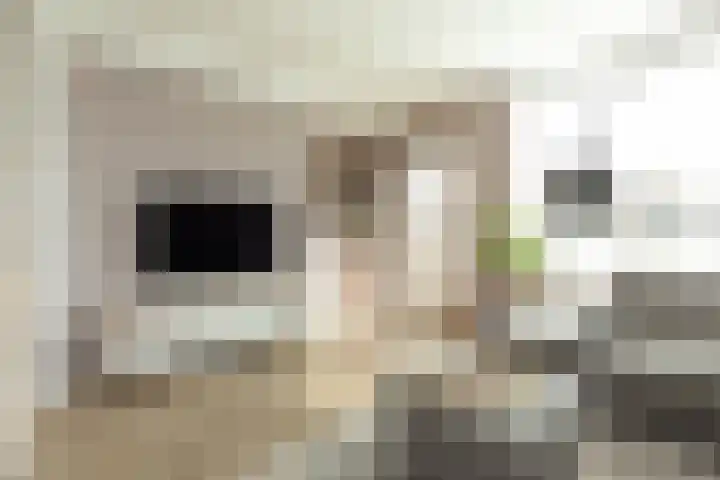 Van Hogendorplaan 64 Hilversum thumbnail 6